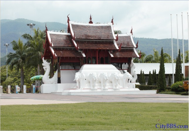 ChiangMai_Royal_Flower_Flora