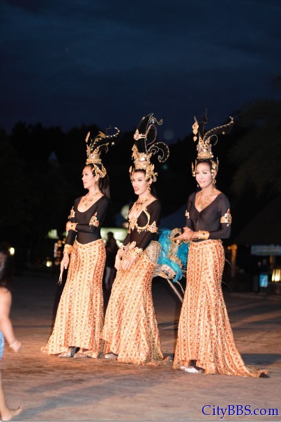 清迈的夜间动物园 Chiangmai Night Safari