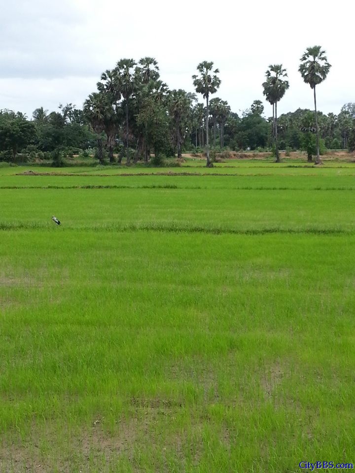 清迈旅游风情_Chiang Mai Travel