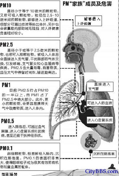 PM2.5 PM10雾霾对人体影响