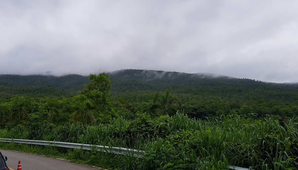 来清迈五六年了 今天才发现清迈山边这么美