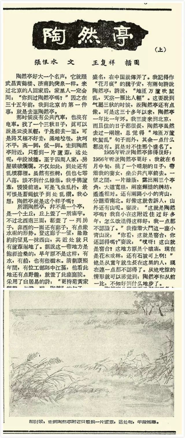 北京众多公园养成记