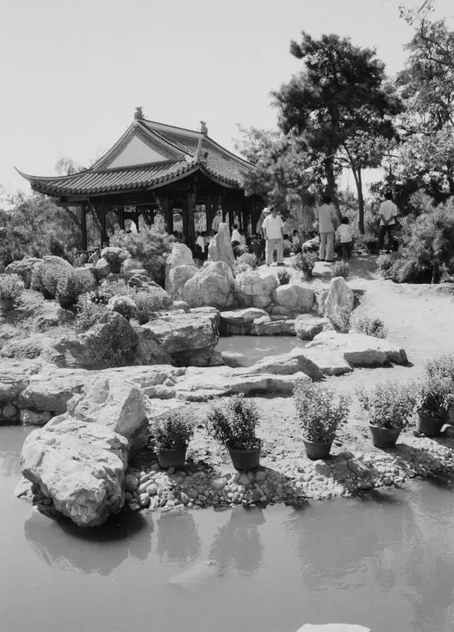 北京众多公园养成记