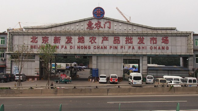 yiqing1.jpg