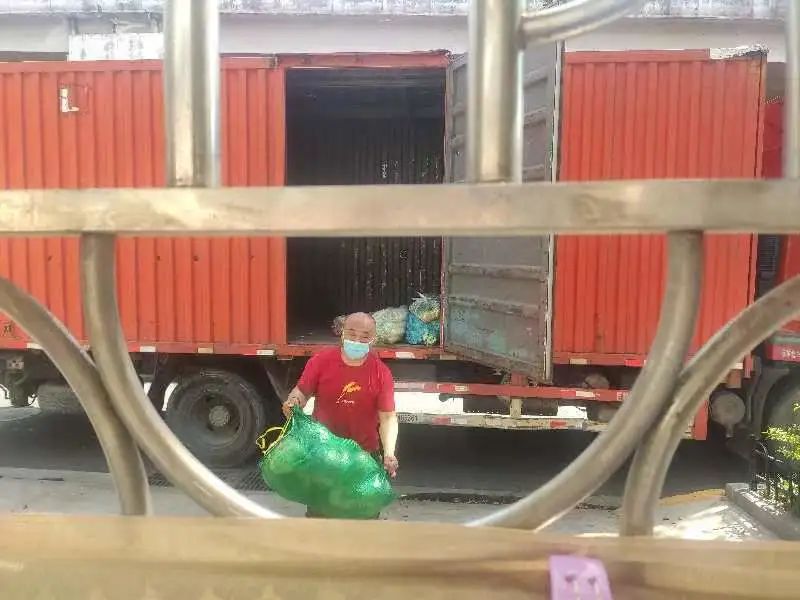 给老人送菜的上海物流司机