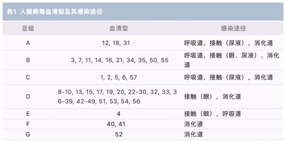 腺病毒是导致小儿急性胃肠炎的常见原因