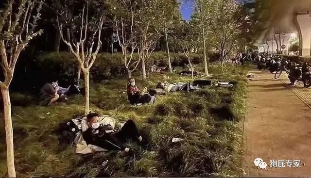 睡在上海虹桥站附近草坪中的人群
