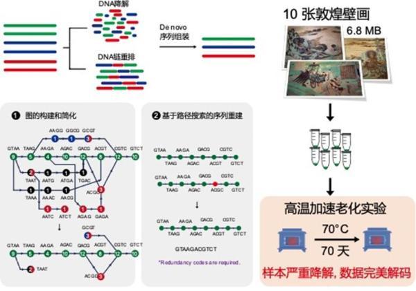 创新DNA存储可保存信息万年