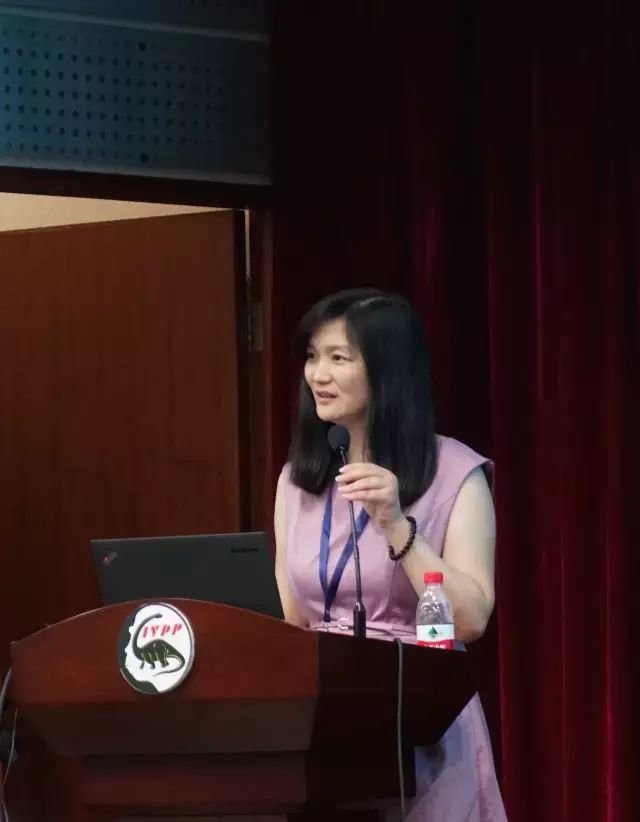 付巧妹