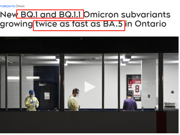 BQ.1.1和BQ.1两种毒株的比例增长速度惊人