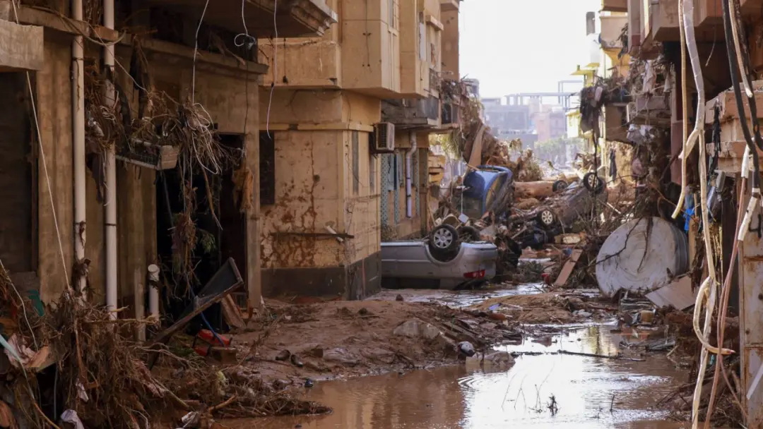 25%的城市已经消失