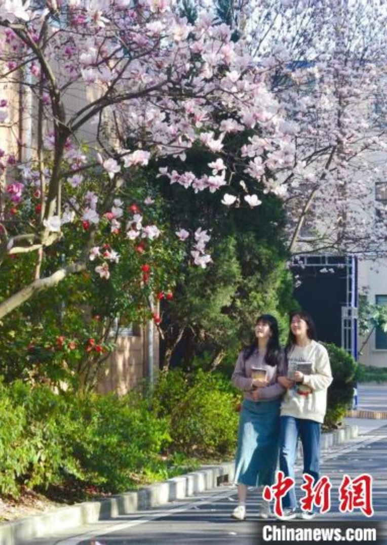 多所大学校园向社会开放