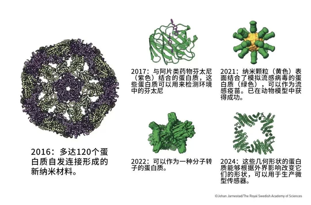 贝克实验室使用计算机软件Rosetta创造了许多蛋白质