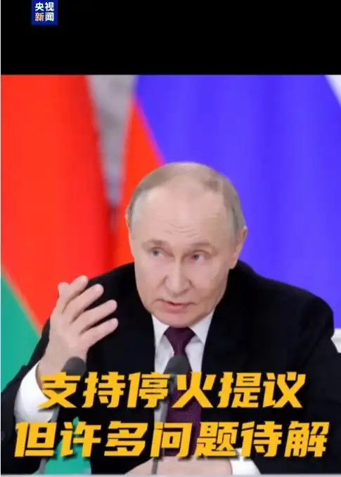 普京：俄同意停火提议